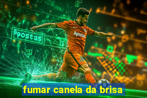 fumar canela da brisa